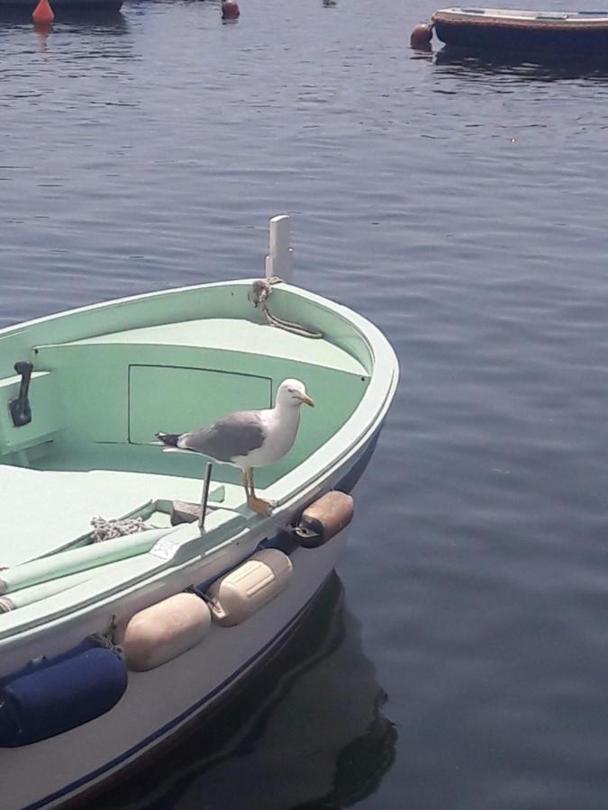 Ferienwohnung La Casa Di Titina Procida Exterior foto